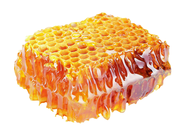 عسل بان | خواص موم عسل برای سلامتی